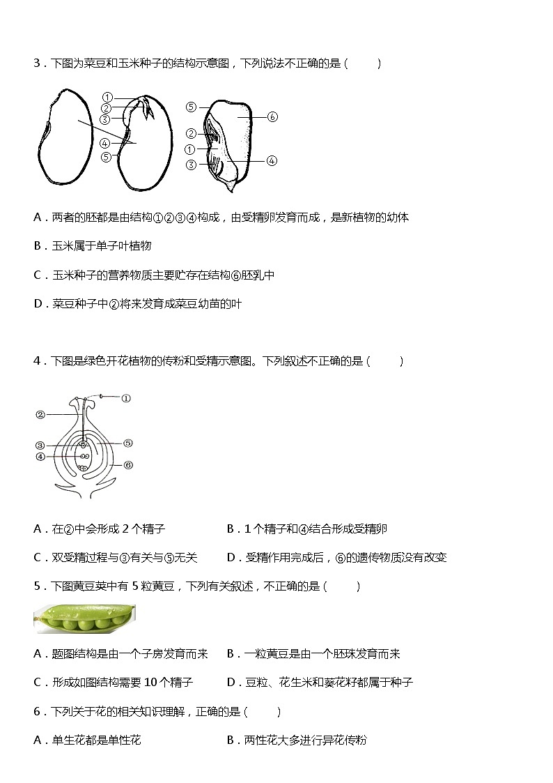小升初生物预科七年级上册练习常考易错专项《第三单元生物圈中的绿色植物》第2页