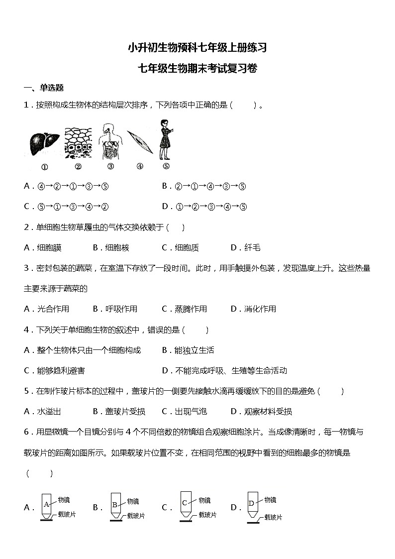 小升初生物预科七年级上册练习期末高频考点冲刺卷（一）01