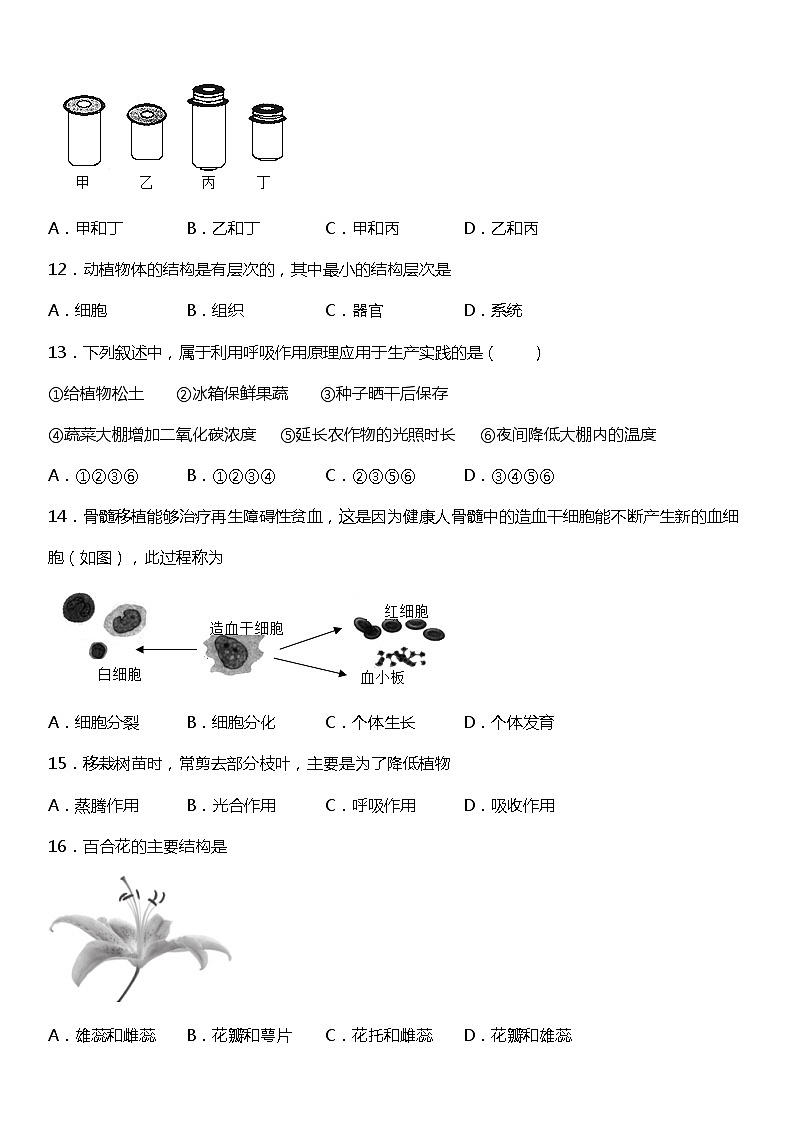 小升初生物预科七年级上册练习期末高频考点冲刺卷（一）03