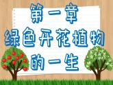 济南版生物八上 1.1  花的结构与类型（课件PPT)