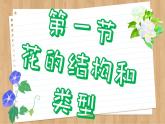 济南版生物八上 1.1  花的结构与类型（课件PPT)