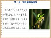 济南版生物八上 1.1  花的结构与类型（课件PPT)