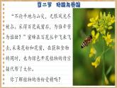 济南版生物八上 1.2  传粉与受精（课件PPT)