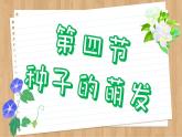 济南版生物八上 1.4  种子的萌发（课件PPT)