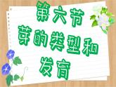 济南版生物八上 1.6  芽的类型和发育（课件PPT)