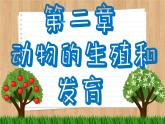 济南版生物八上 2.1  昆虫的生殖和发育（课件PPT)