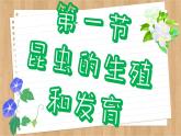 济南版生物八上 2.1  昆虫的生殖和发育（课件PPT)