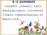 济南版生物八上 2.1  昆虫的生殖和发育（课件PPT)