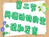 济南版生物八上 2.2  两栖动物的生殖和发育（课件PPT)