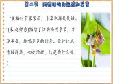 济南版生物八上 2.2  两栖动物的生殖和发育（课件PPT)
