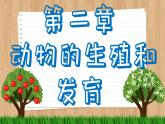 济南版生物八上 2.3  鸟的生殖和发育（课件PPT)