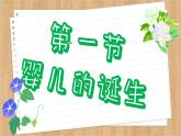 济南版生物八上 3.1  婴儿的诞生（课件PPT)