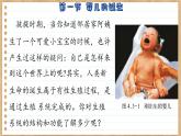 济南版生物八上 3.1  婴儿的诞生（课件PPT)