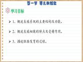 济南版生物八上 3.1  婴儿的诞生（课件PPT)