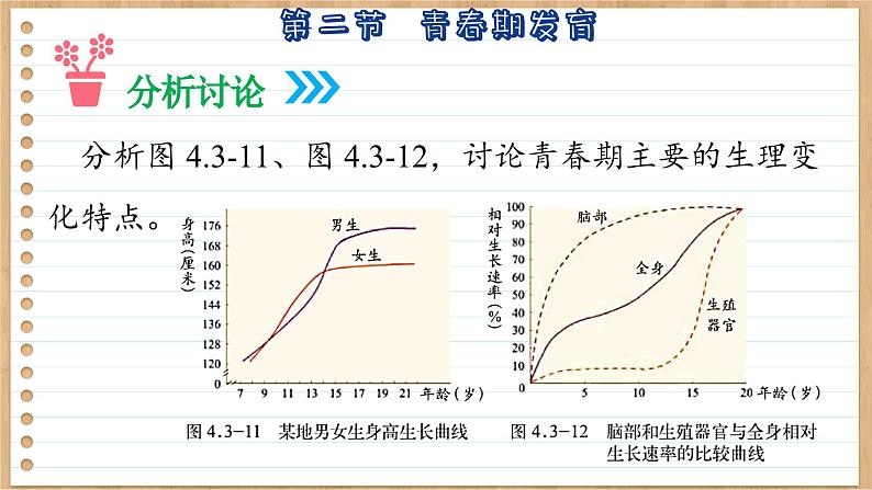 济南版生物八上 3.2  青春期发育（课件PPT)第7页