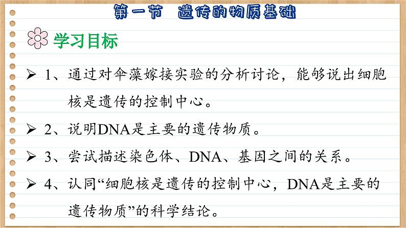 济南版生物八上 4.1  遗传的物质基础（课件PPT)05