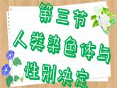 济南版生物八上 4.3  人类染色体与性别决定（课件PPT)