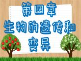济南版生物八上 4.4  生物的变异（课件PPT)