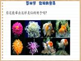 济南版生物八上 4.4  生物的变异（课件PPT)