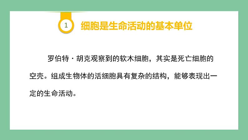 济南版生物七上 1.2.1 细胞的结构和功能 第二课时（课件PPT)第6页