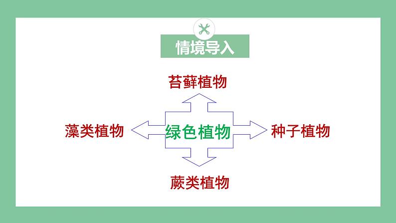 济南版生物七上 2.1.1 绿色植物的主要类群 第一课时（课件PPT)03