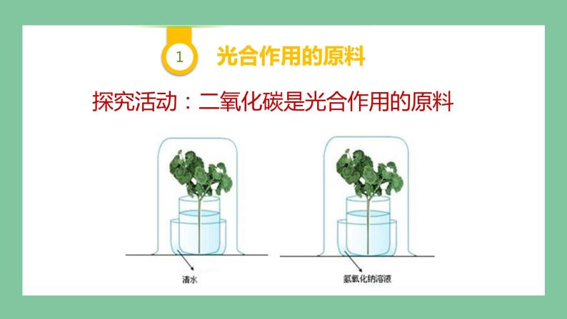 济南版生物七上 2.1.3 绿色植物的光合作用 第二课时（课件PPT)06