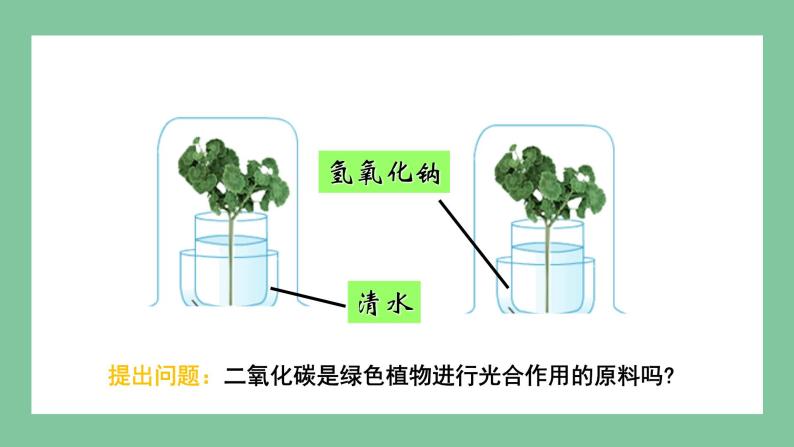 济南版生物七上 2.1.3 绿色植物的光合作用 第二课时（课件PPT)07