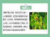 济南版生物七上 2.1.5 绿色植物在生物圈中的作用（课件PPT)