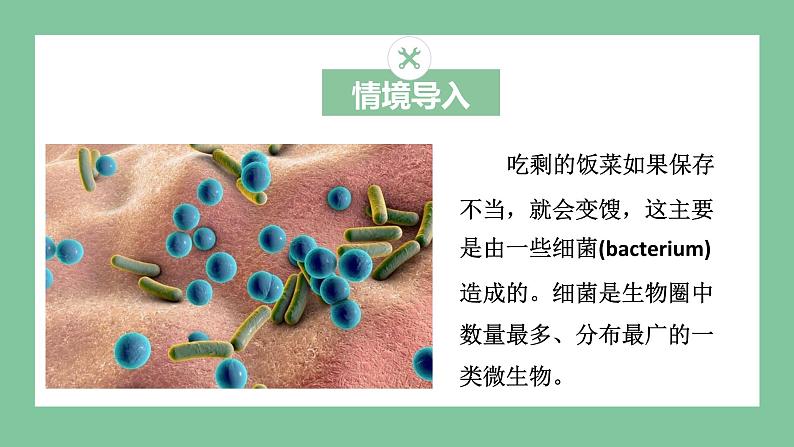 济南版生物七上 2.3.2 细菌 （课件PPT)03