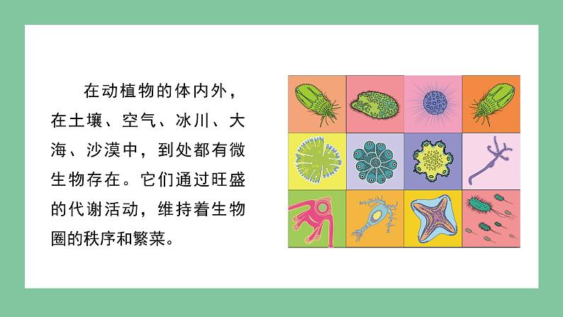 济南版生物七上 2.3.4 微生物在生物圈中的作用（课件PPT)第4页