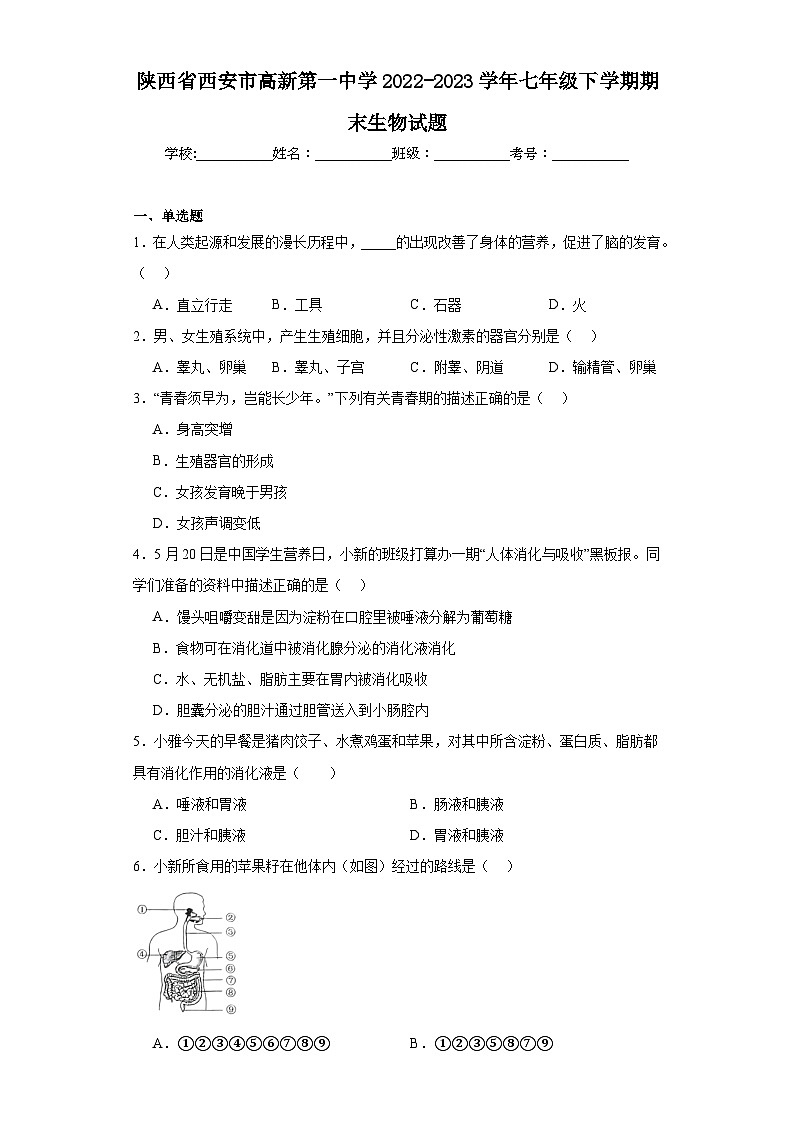 陕西省西安市高新第一中学2022-2023学年七年级下学期期末生物试题（含答案）第1页