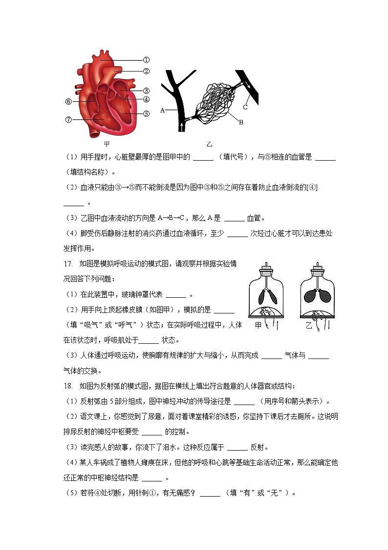2022-2023学年重庆市忠县七年级（下）期末生物试卷(含解析 )第3页