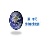1.1.1生物的特征优化 课件-2023-2024学年人教版生物七年级上册