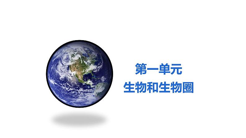 1.1.1生物的特征优化 课件-2023-2024学年人教版生物七年级上册01