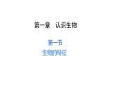 1.1.1生物的特征优化 课件-2023-2024学年人教版生物七年级上册