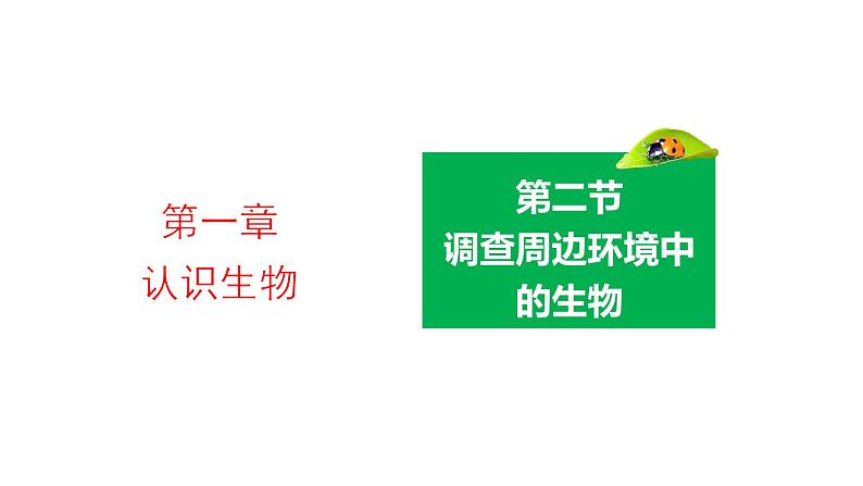 1.1.2调查周边环境中的生物优化 课件-2023-2024学年人教版生物七年级上册02