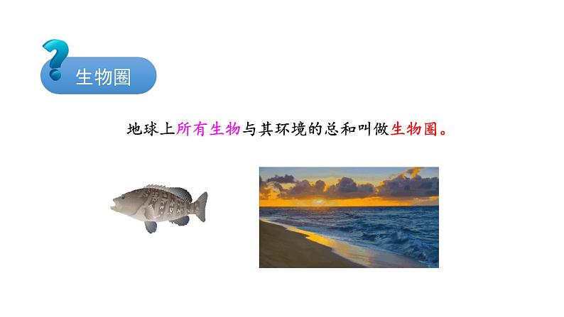 1.2.1生物与环境的关系优化 课件-2023-2024学年人教版生物七年级上册01