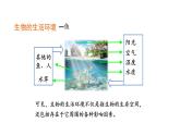 1.2.1生物与环境的关系优化 课件-2023-2024学年人教版生物七年级上册