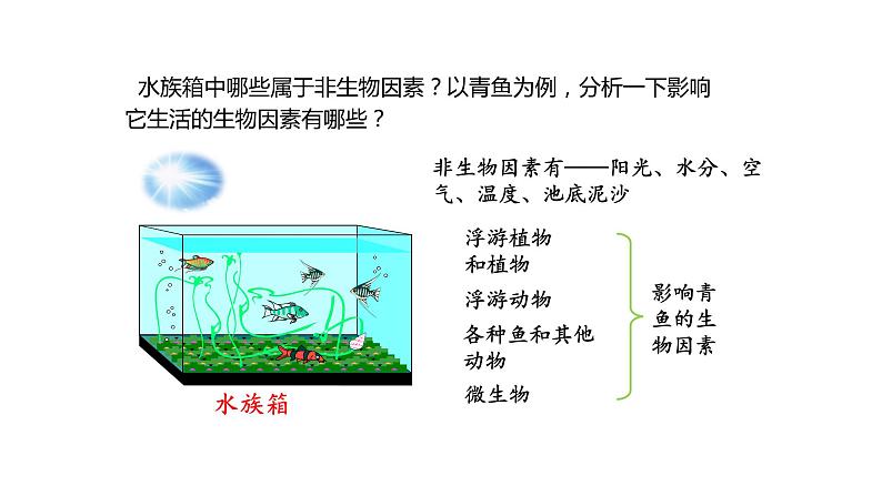 1.2.2生物与环境组成生态系统优化 课件-2023-2024学年人教版生物七年级上册第2页