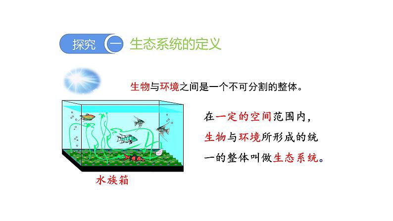 1.2.2生物与环境组成生态系统优化 课件-2023-2024学年人教版生物七年级上册第3页