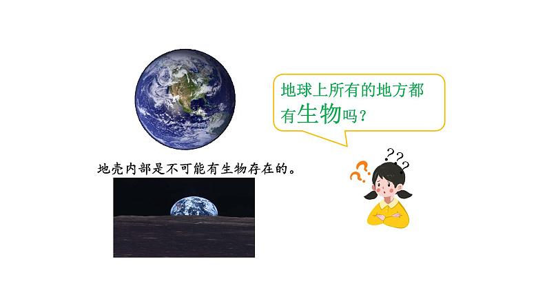 1.2.3生物圈是最大的生态系统优化 课件-2023-2024学年人教版生物七年级上册02