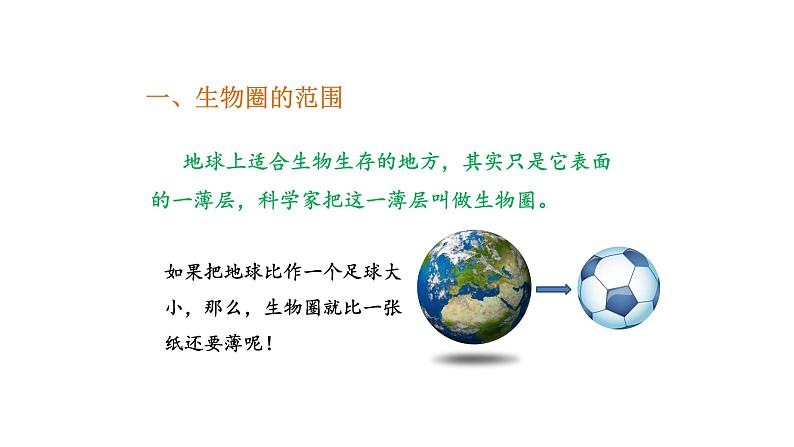 1.2.3生物圈是最大的生态系统优化 课件-2023-2024学年人教版生物七年级上册03