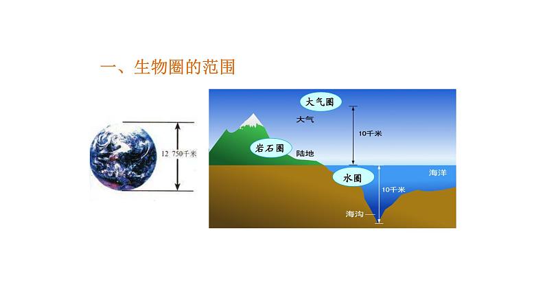 1.2.3生物圈是最大的生态系统优化 课件-2023-2024学年人教版生物七年级上册04