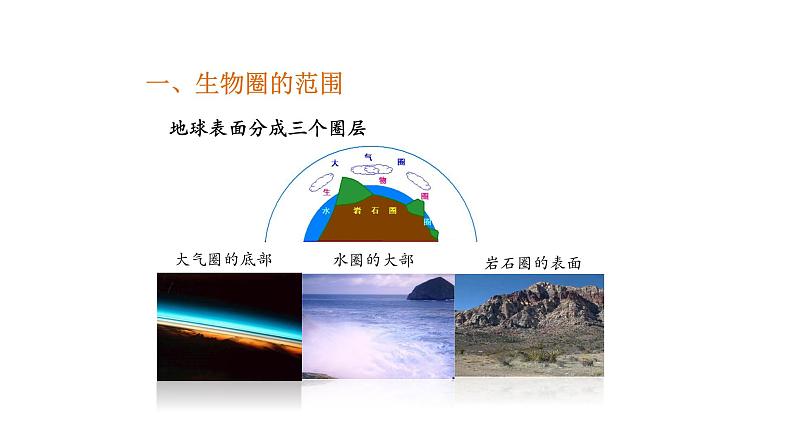 1.2.3生物圈是最大的生态系统优化 课件-2023-2024学年人教版生物七年级上册05