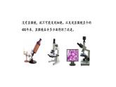 2.1.1练习使用显微镜优化 课件-2023-2024学年人教版生物七年级上册