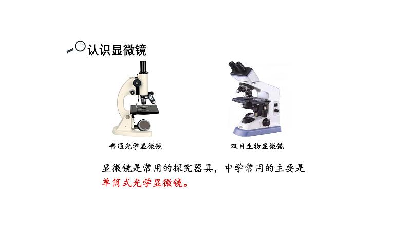 2.1.1练习使用显微镜优化 课件-2023-2024学年人教版生物七年级上册第8页