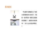 2.1.2植物细胞优化 课件-2023-2024学年人教版生物七年级上册