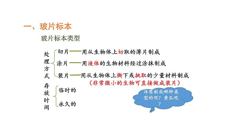 2.1.2植物细胞优化 课件-2023-2024学年人教版生物七年级上册06