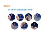 2.1.3动物细胞优化 课件-2023-2024学年人教版生物七年级上册