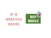 2.1.4细胞的生活优化 课件-2023-2024学年人教版生物七年级上册